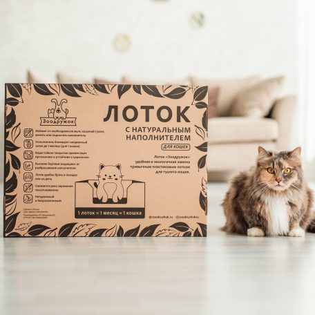 zoolotok-cat3